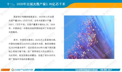 基礎(chǔ)電信業(yè)務(wù) 信息社會(huì)的基石與未來(lái)發(fā)展路徑